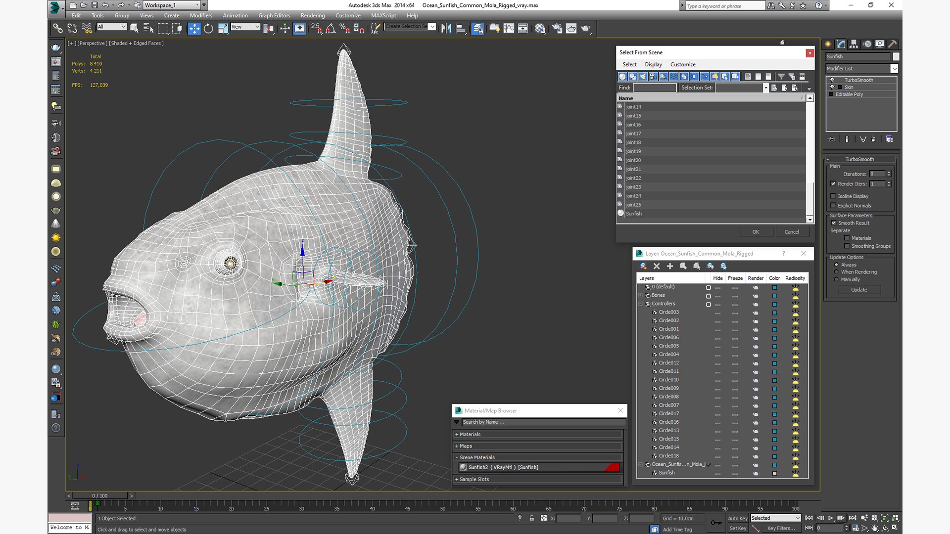 Ocean Sunfish Common Mola Rigged 3D Model - TurboSquid 1828432