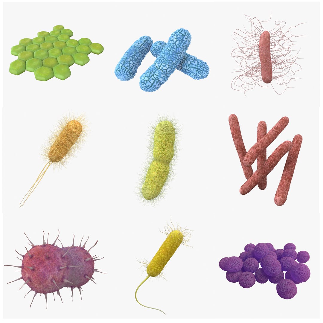 3D bacteria pack https://p.turbosquid.com/ts-thumb/d1/iozhjA/HZPzufBU/bacteria_pack_c_sign_a/jpg/1530961948/1920x1080/fit_q87/0d69c31647c9e98081f71a08d1c828e123f174b2/bacteria_pack_c_sign_a.jpg