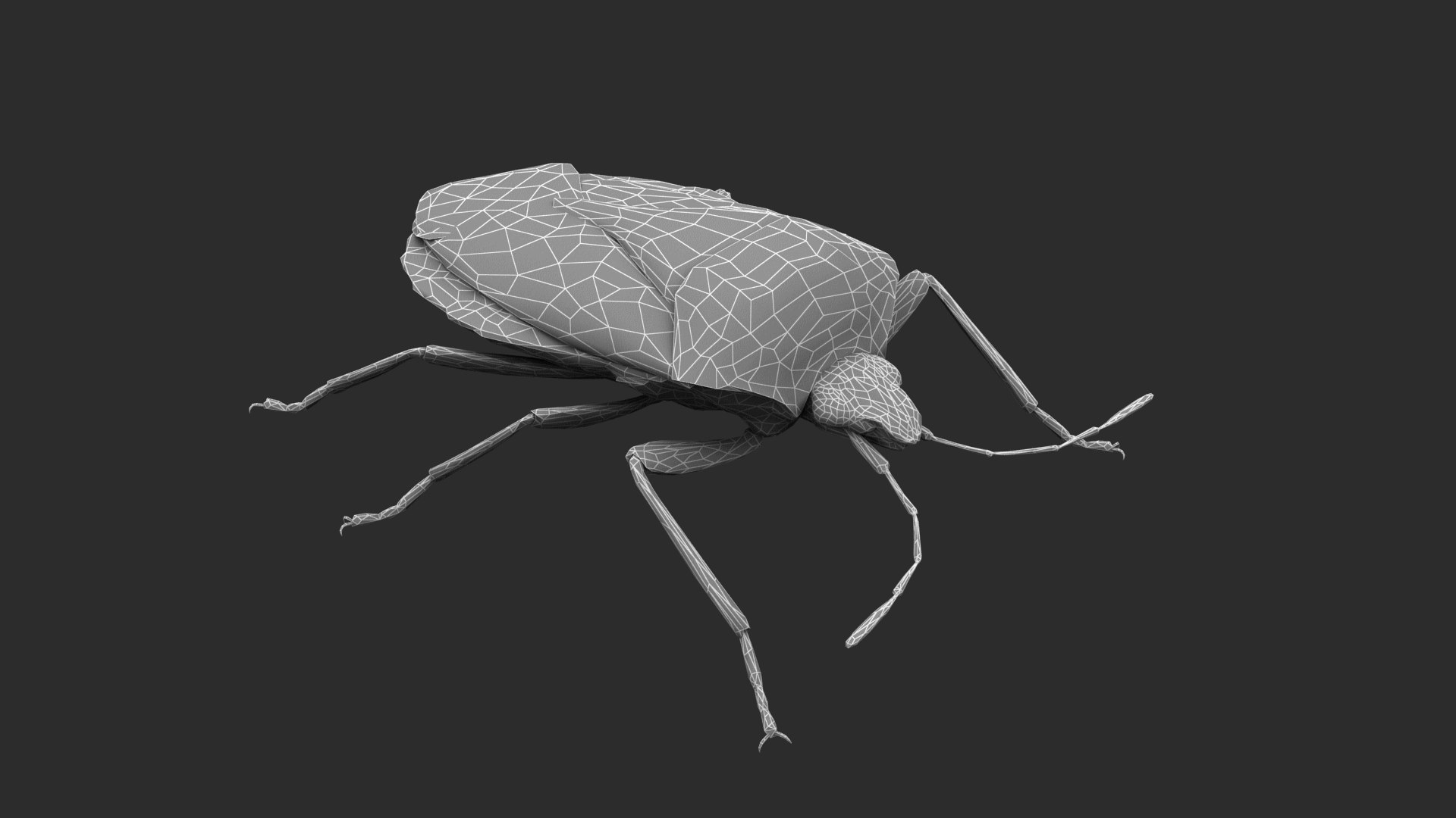Brown marmorated stink bug Halyomorpha halys 3D model https://p.turbosquid.com/ts-thumb/d1/jY8Vqk/Bw/001/png/1764409400/1920x1080/fit_q87/7df103aed7e9ea7707a75a69982ee69ac0771123/001.jpg