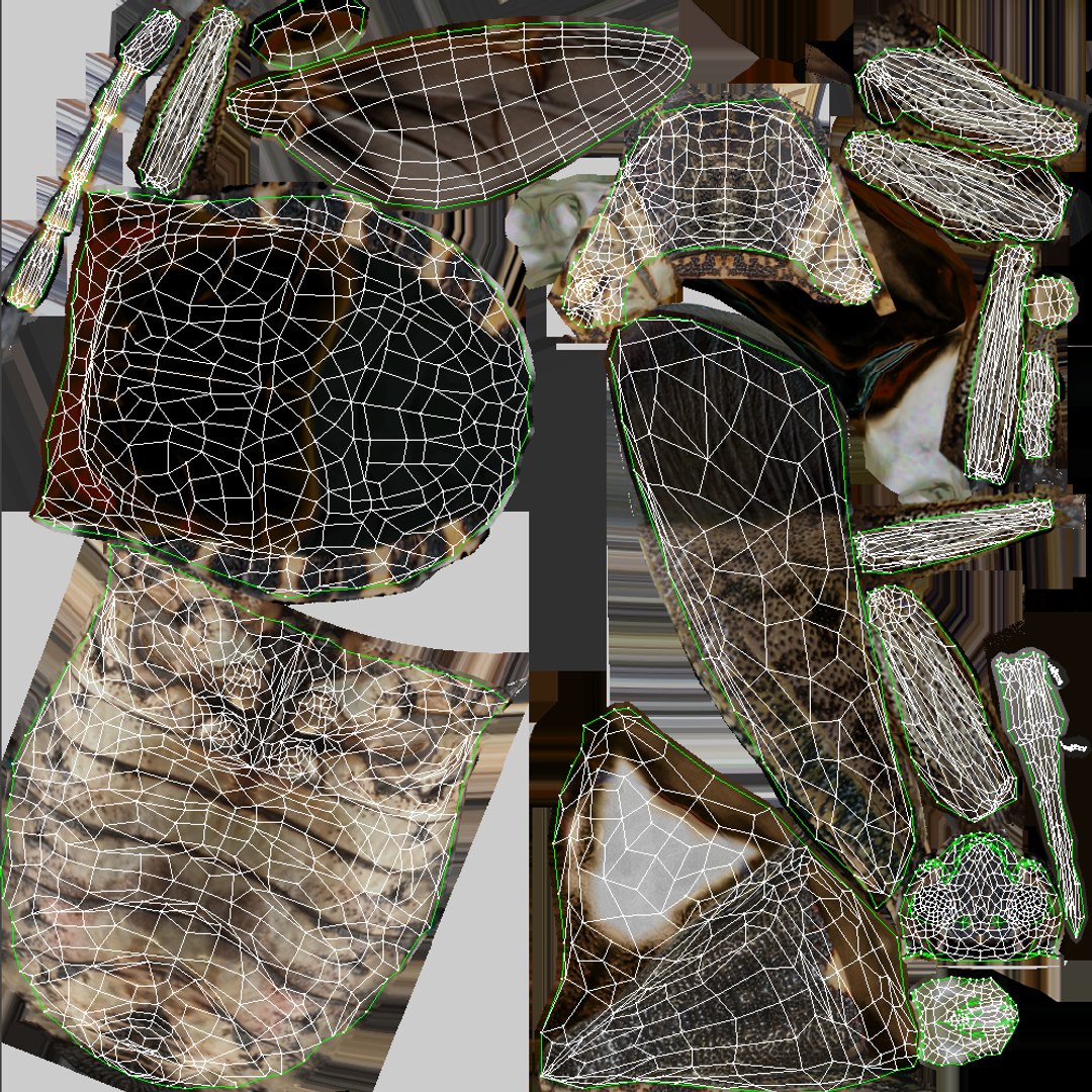 Brown marmorated stink bug Halyomorpha halys 3D model https://p.turbosquid.com/ts-thumb/d1/jY8Vqk/ms/uv/png/1764409404/1920x1080/fit_q87/a7c97f2860facd0c23c0f8ca5ed86057e20c2fc0/uv.jpg