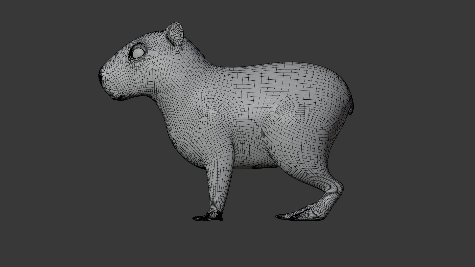 3D Capybara Model - TurboSquid 2640257