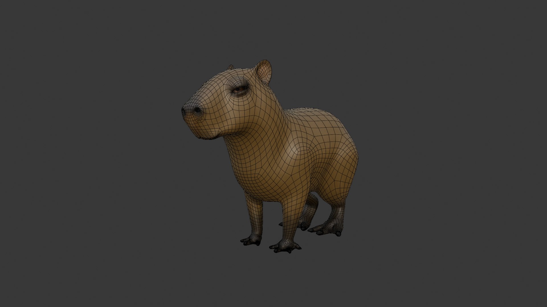 3D Capybara Model - TurboSquid 2640257