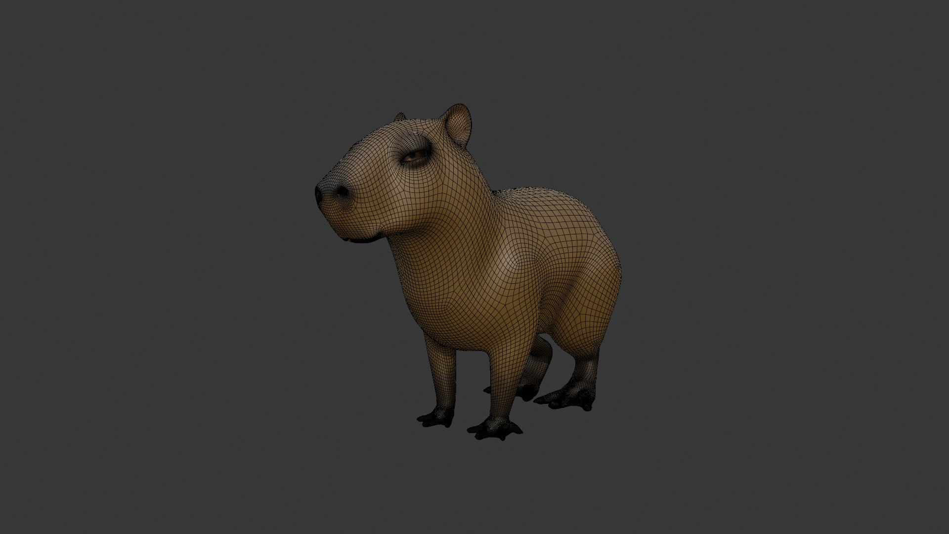 3D Capybara Model - TurboSquid 2640257