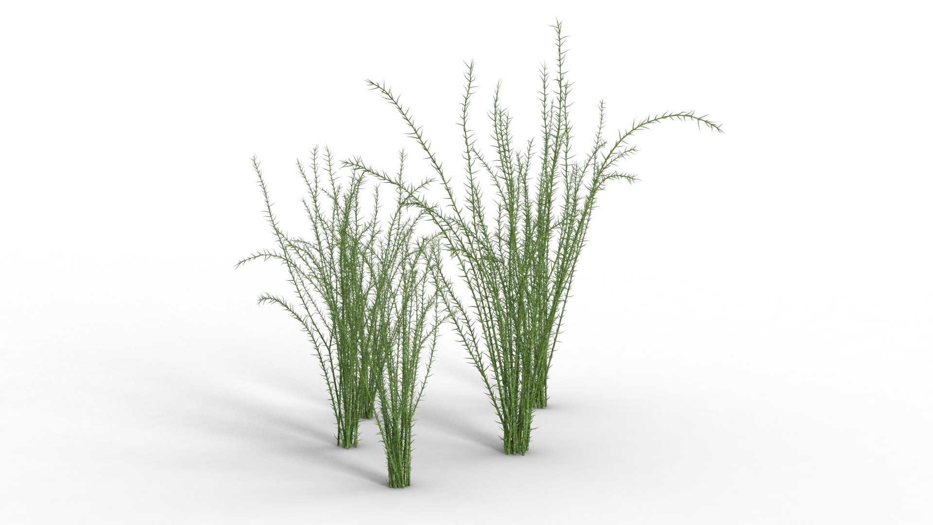 3D Underwater Grass Animated model https://p.turbosquid.com/ts-thumb/d2/DNbs1g/93/02/png/1692180114/1920x1080/fit_q87/909fd4a79c390ba5c820248bdd25eebe9a13a046/02.jpg