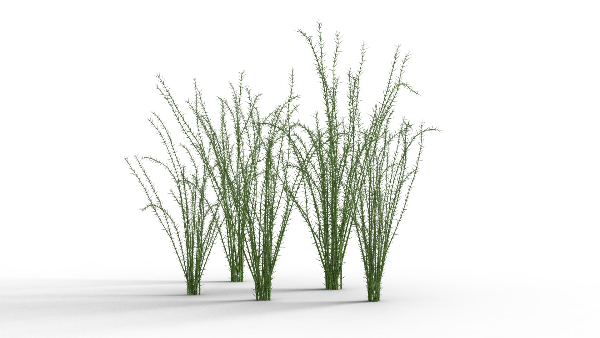 3D Underwater Grass Animated Model - TurboSquid 2111837