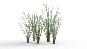 3D Underwater Grass Animated model