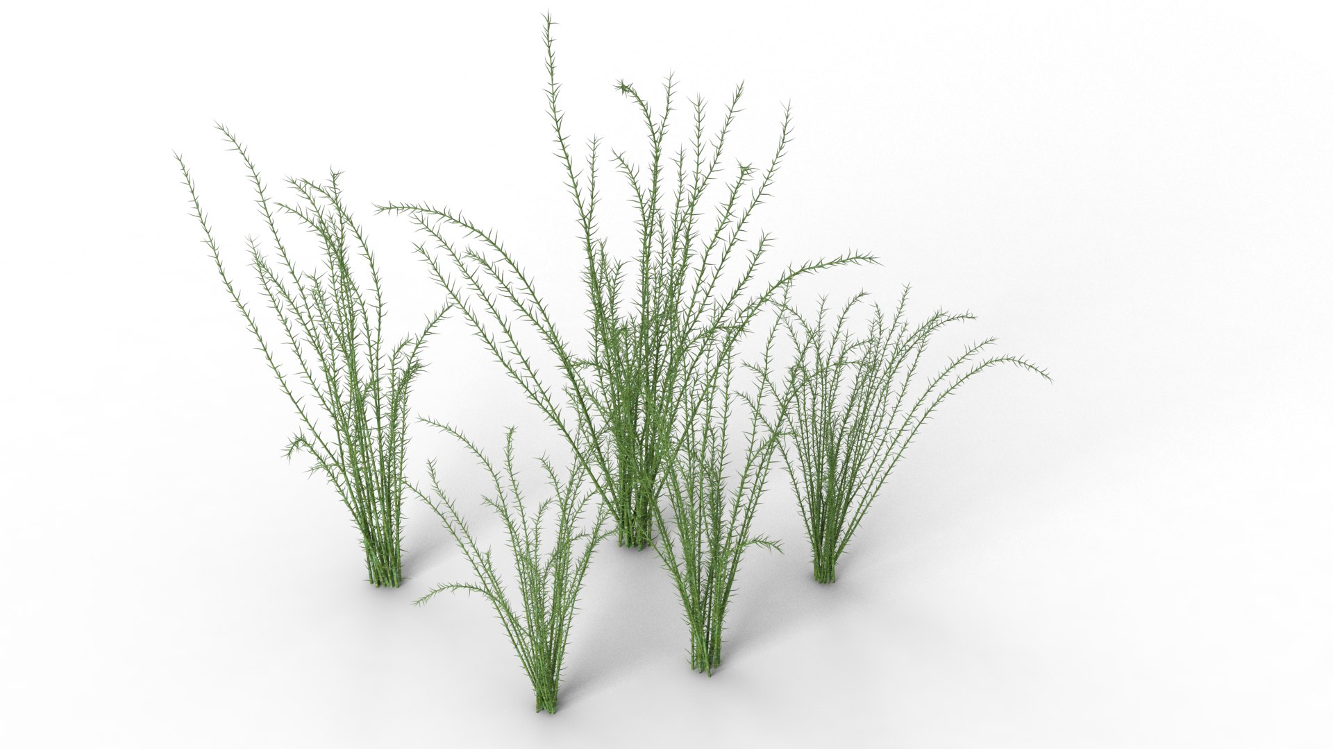 3D Underwater Grass Animated model https://p.turbosquid.com/ts-thumb/d2/DNbs1g/UX/04/png/1692180118/1920x1080/fit_q87/c46eb4f14a9c456f58115a561651faf76dc6ef61/04.jpg