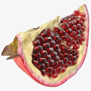 3D Slice Pomegranate