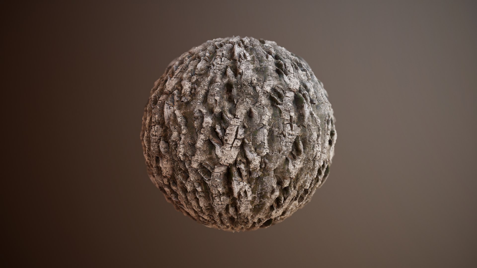 Pack 15 Tree Bark PBR Textures Model - TurboSquid 1783775