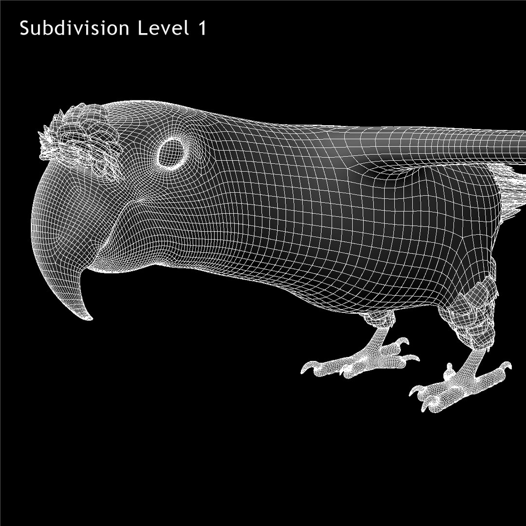 3d macaw parrots https://p.turbosquid.com/ts-thumb/d2/tVSuq7/Idlw2hak/w06/jpg/1418867954/1920x1080/fit_q87/45b728d9dd12a3581fc20b966f8901e9befe030a/w06.jpg