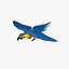 Macaw Parrots Collection