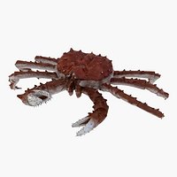 King Crab