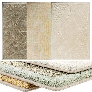 Carpet Art for Interior 46 3D model