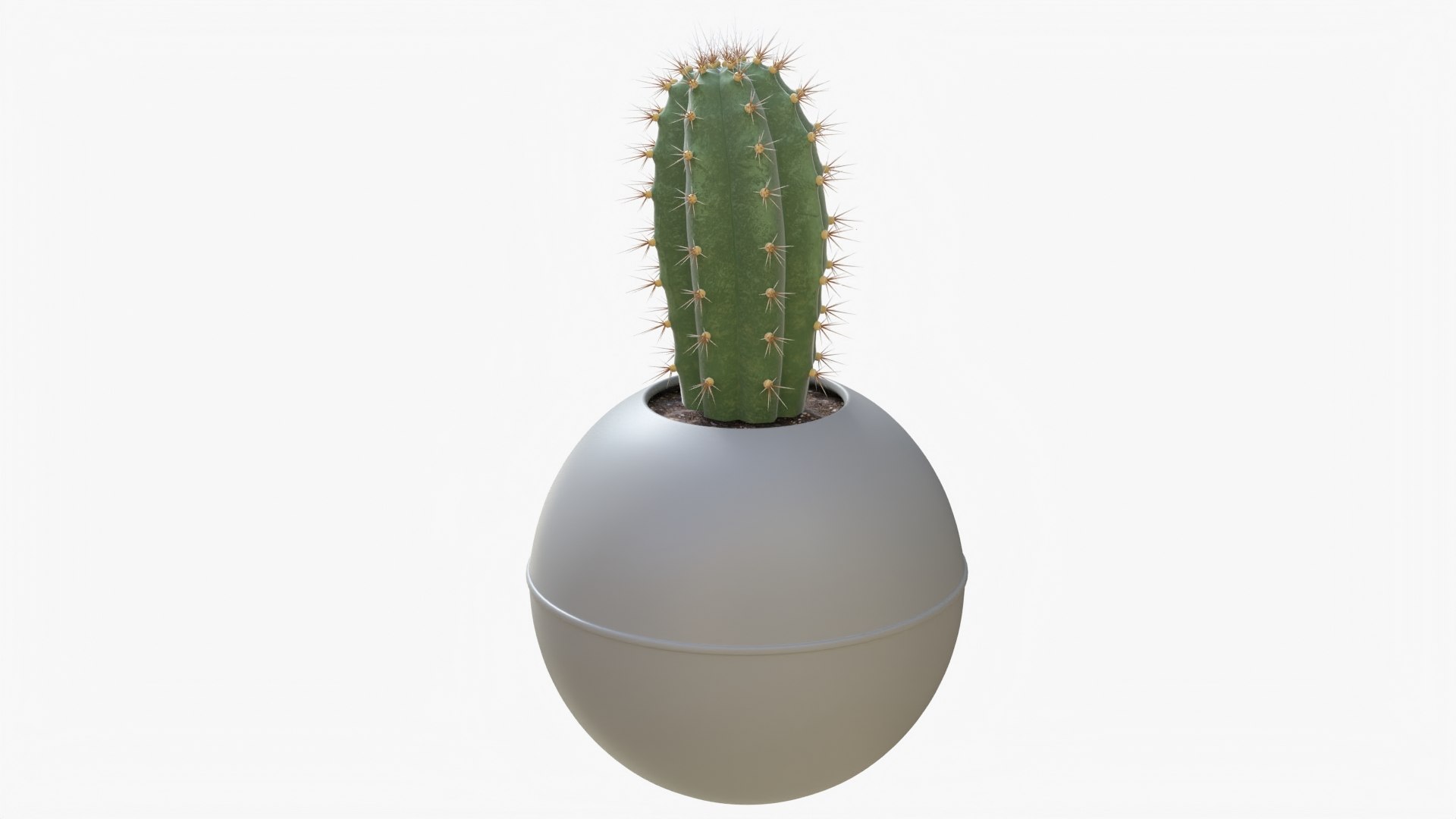 3D Model Cactus 04 D - TurboSquid 1987466