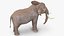elephant waiting animal fur model