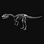 Allosaurus Skeleton