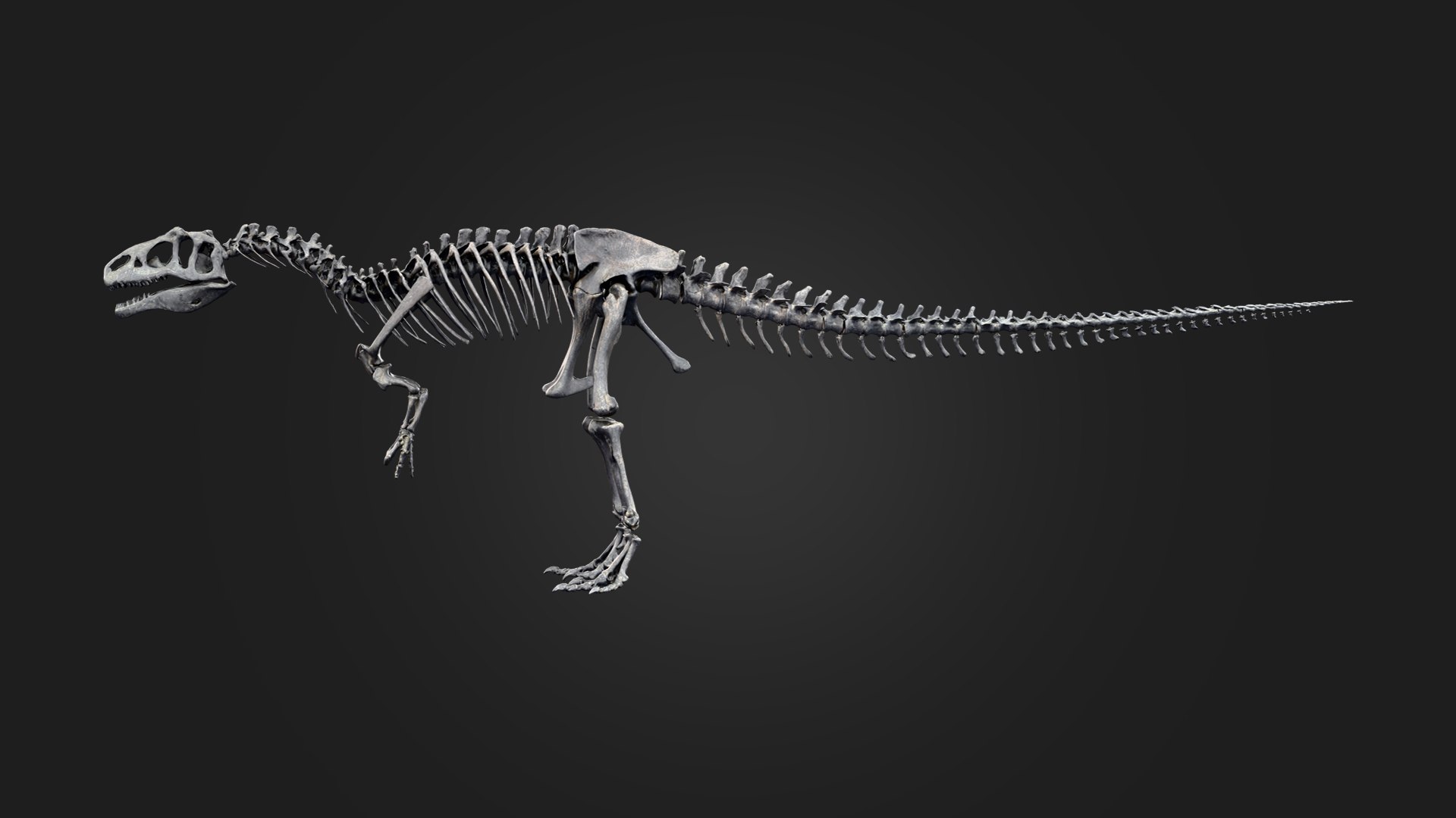 Allosaurus Skeleton 3D https://p.turbosquid.com/ts-thumb/d3/DqF1EI/YW/preview_2/png/1792463582/1920x1080/fit_q87/96ca1aa10dbf311a7a510ab1e6d4025dbc568bff/preview_2.jpg