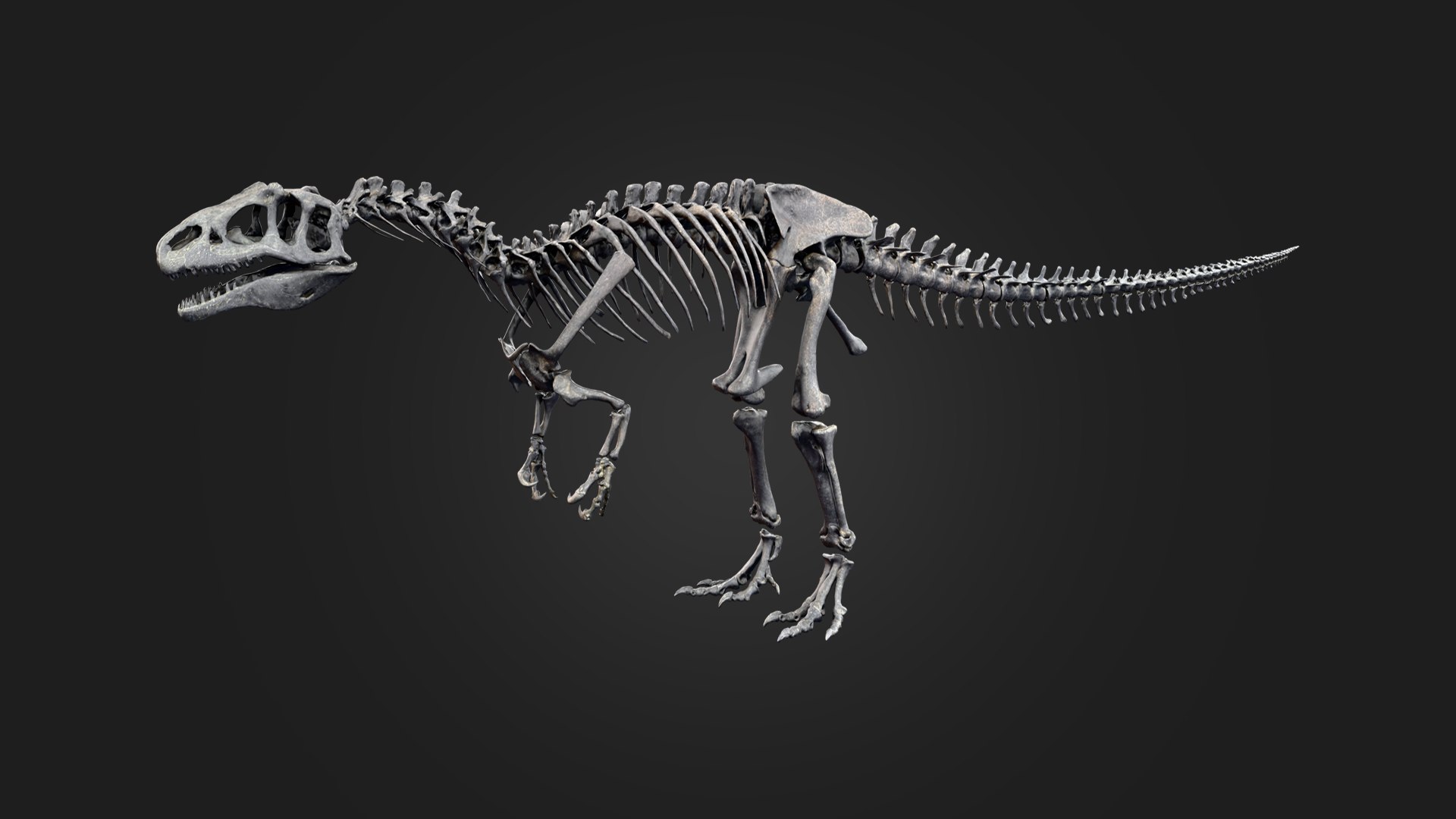 Allosaurus Skeleton 3D https://p.turbosquid.com/ts-thumb/d3/DqF1EI/rd/preview_1/png/1792463581/1920x1080/fit_q87/de19dfd8413d60cbdfeabc395d034c5e0982c563/preview_1.jpg