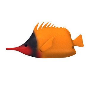 tropical fish 3d model
