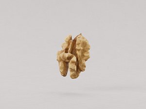 Walnut Inside 3D model