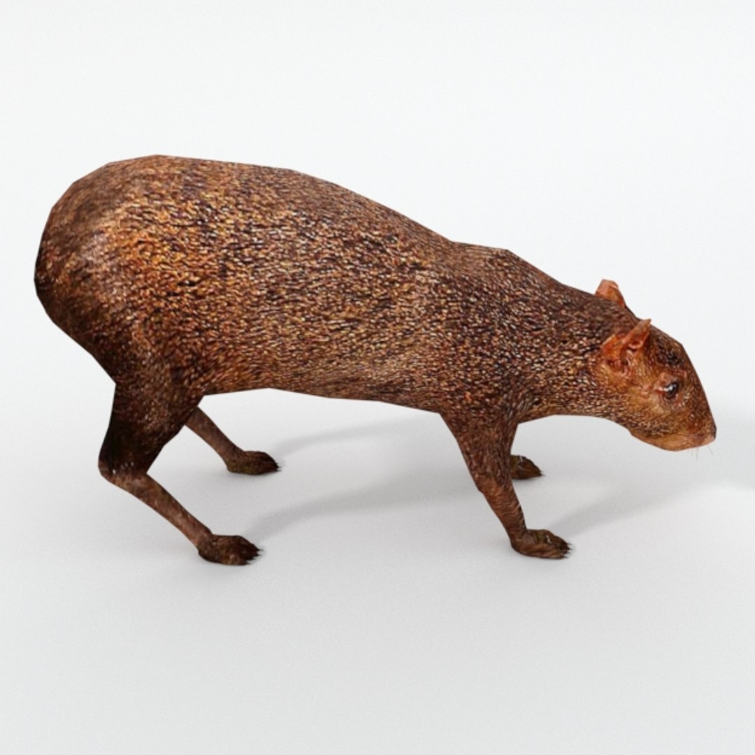 Ancient Animals 3D - TurboSquid 1394956