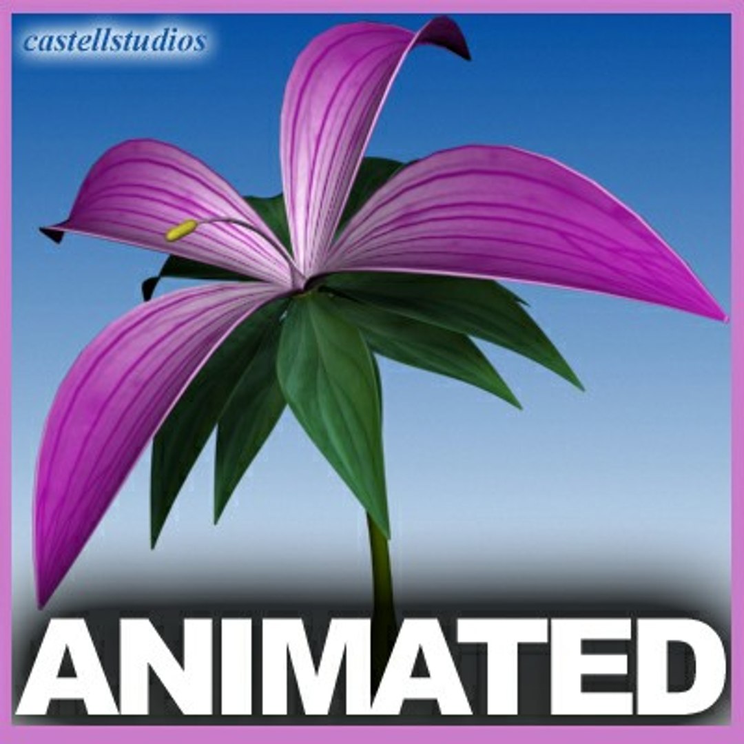 3d Model Realistic Flower Animation Open