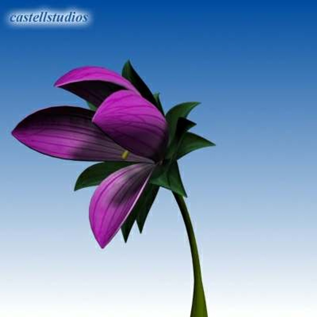 3d Model Realistic Flower Animation Open