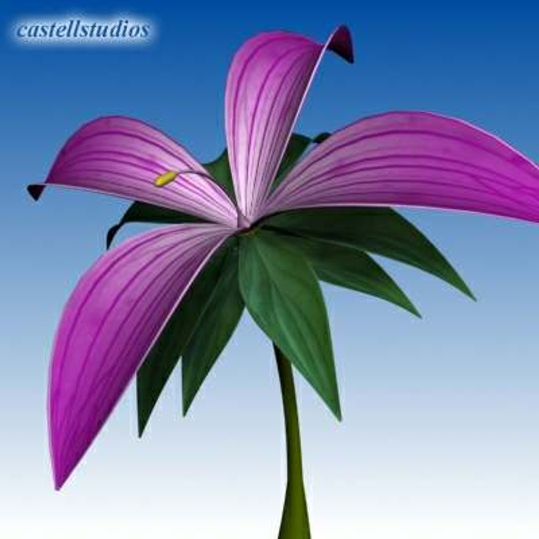 3d Model Realistic Flower Animation Open