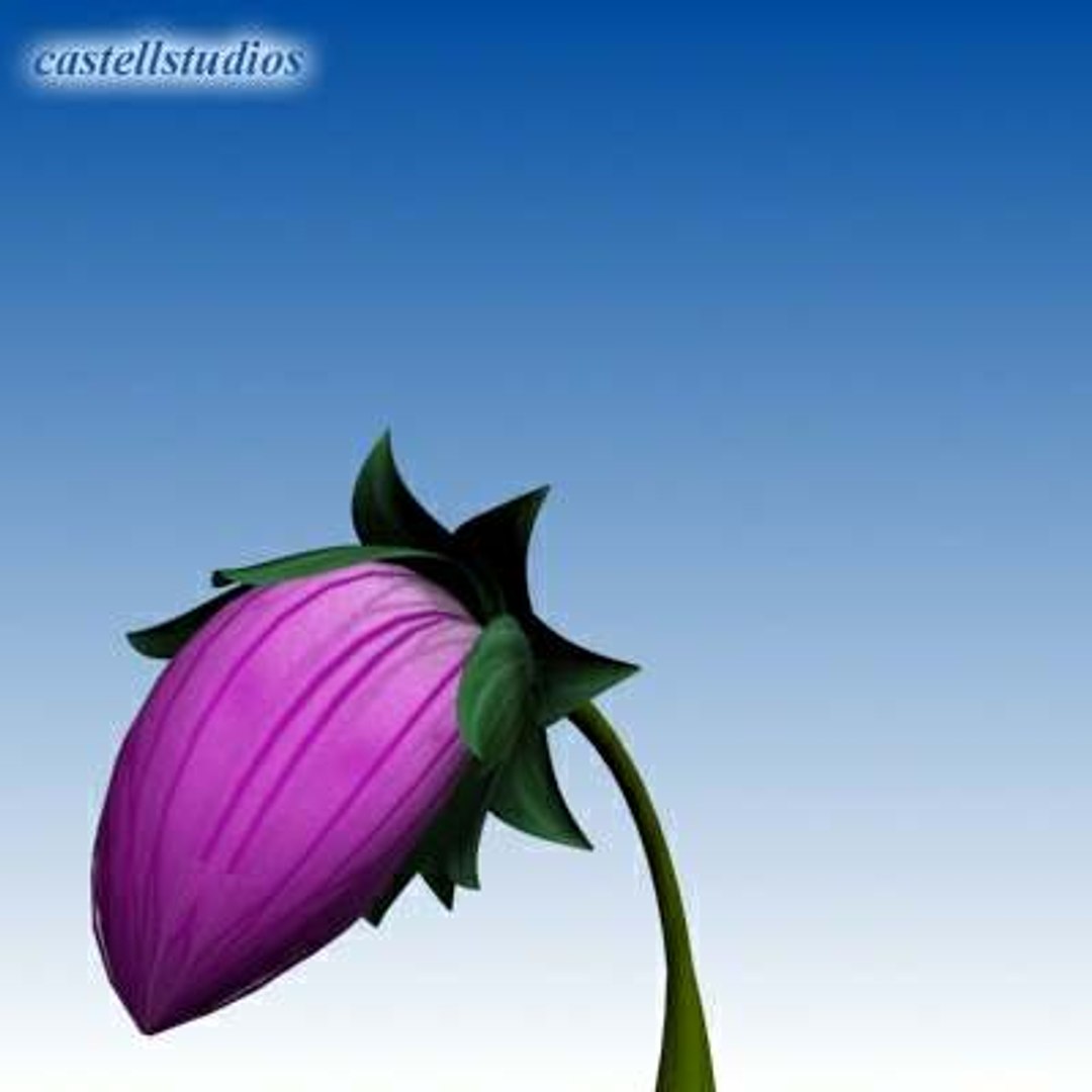 3d Model Realistic Flower Animation Open