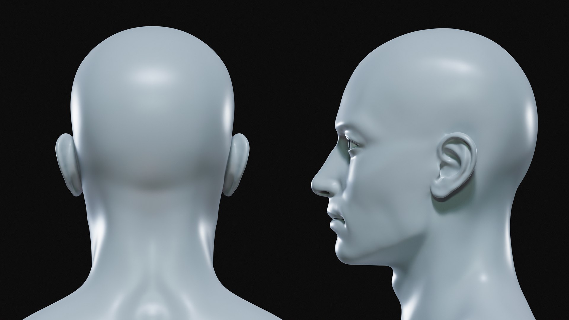 Realistic Athletic Human Body Base Mesh Model - TurboSquid 2348386