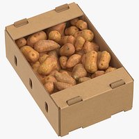 Cardboard Box 01 With Sweet Potatoes Full