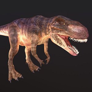 3D carnivore predator model