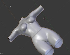 adult woman nude mesh 3D model