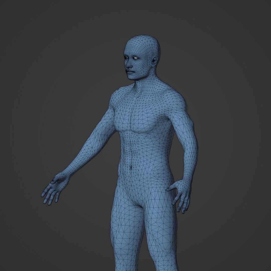 Human Skeleton 3D Model Biology Diagrams