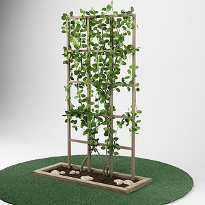 3d plant garden