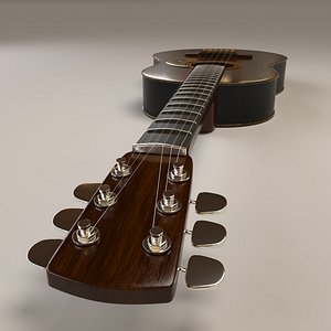 Guitar