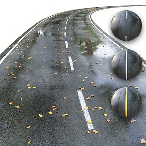 3D Wet road with markings model