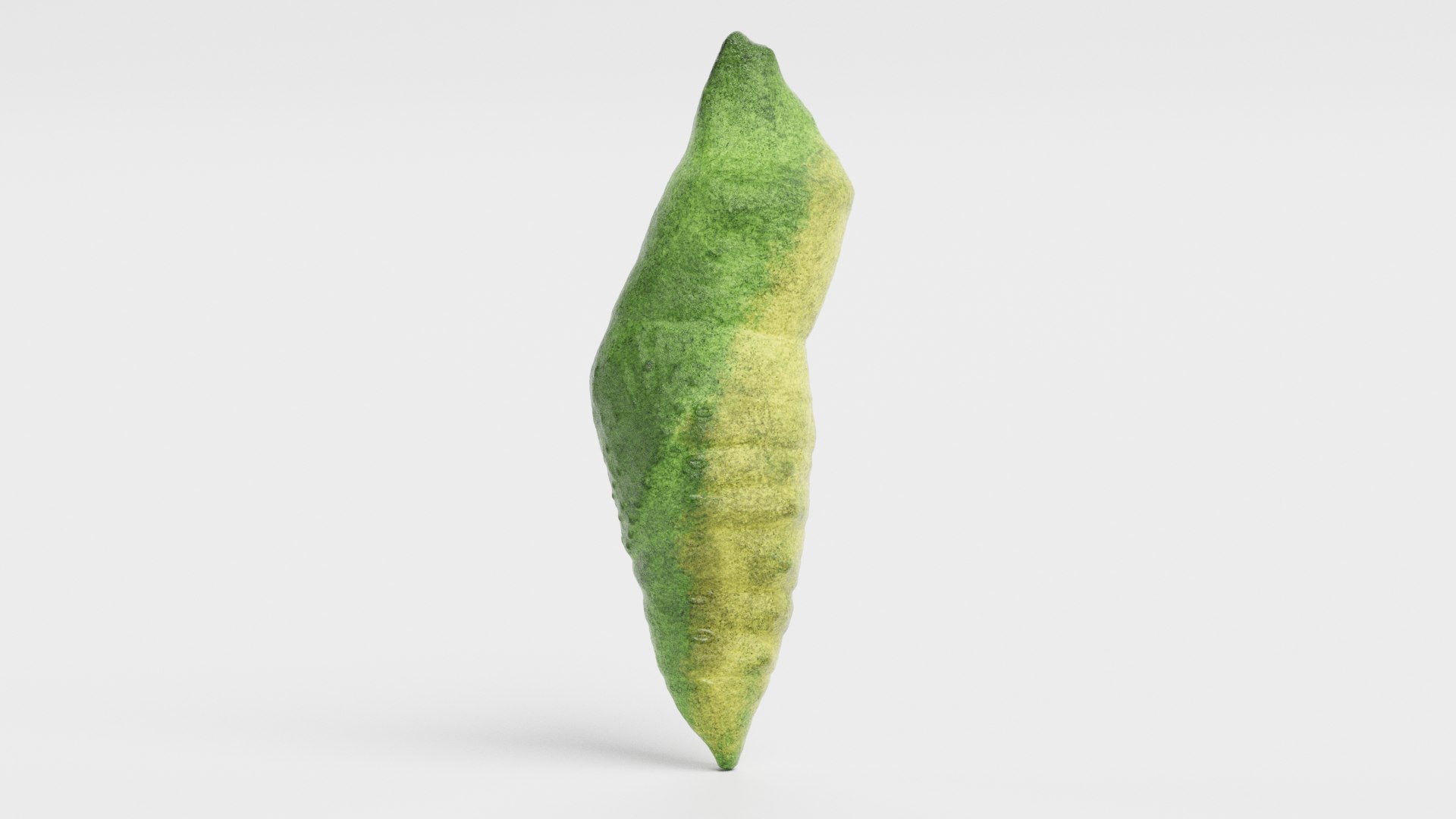 3D Insect - Huge Collection https://p.turbosquid.com/ts-thumb/d5/BKW9kG/mI/oldworldswallowtailpupab/png/1786286977/1920x1080/fit_q87/d848dff12b76e0eb26ee4360a573f8cc6f7b774d/oldworldswallowtailpupab.jpg