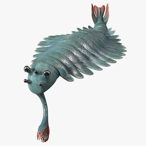 Green Opabinia Swimming 3D