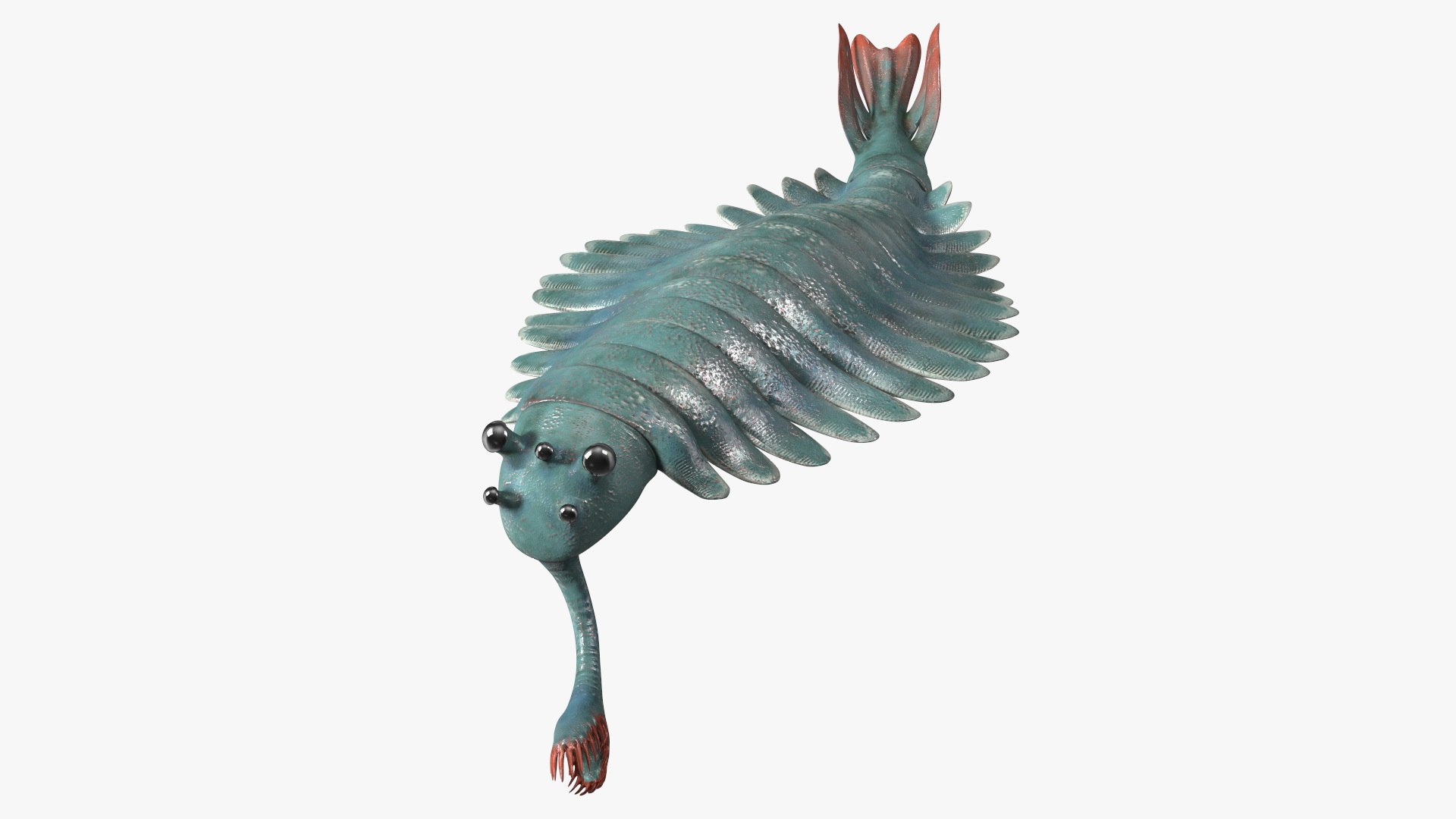 Green Opabinia Swimming 3D model preview