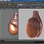 testis 3d model