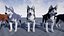 Cane LowPoly - Husky