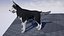 Cane LowPoly - Husky