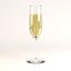 champagne glass 3d 3ds