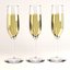 champagne glass 3d 3ds