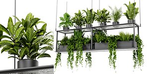 Collection plant vol 439 - blender model 3D model