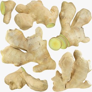 Ginger Collection V4