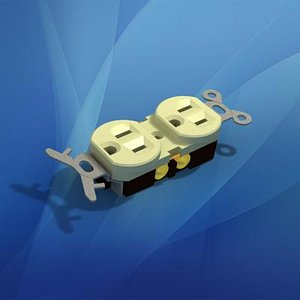 110V Duplex Electrical Outlet