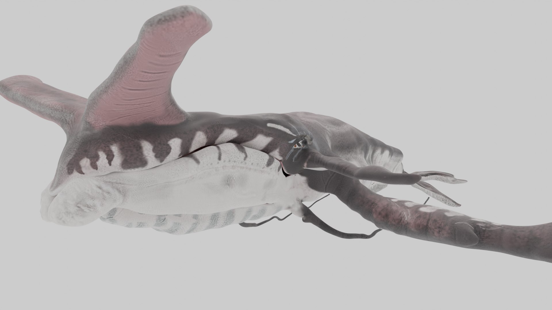 3D Payakan Tulkun From Avatar Rigged 3D Model - TurboSquid 2013151