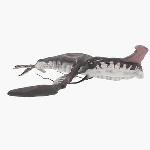 Tulkun from Avatar Rigged 3D Model